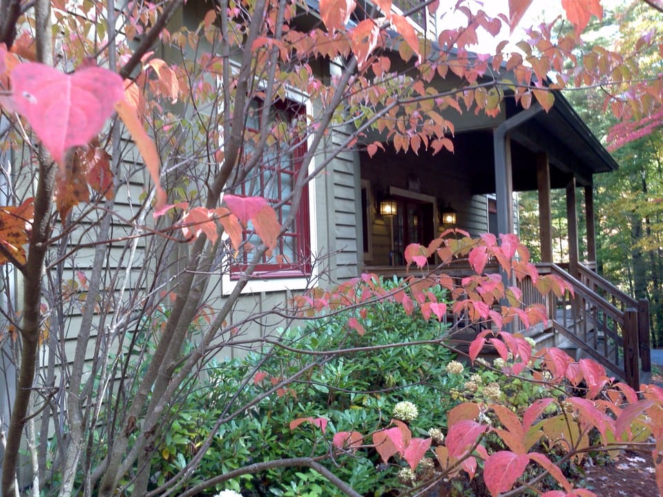 Peace Mountain Lodge  On Facebook:  https://www.facebook.com/peacemountainlodge/