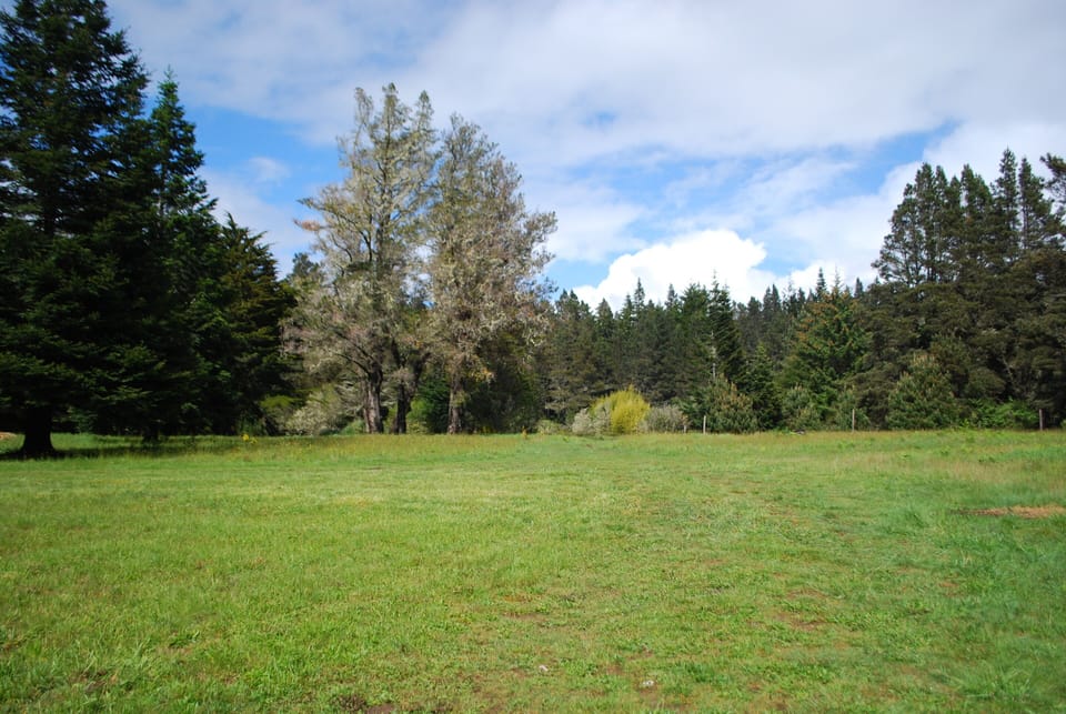 meadow in springtime on property
