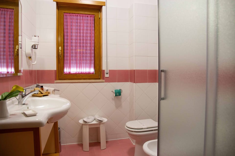 Shower, free toiletries, hair dryer, slippers