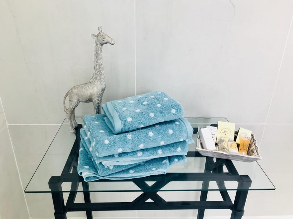 Shower, free toiletries, hair dryer, towels