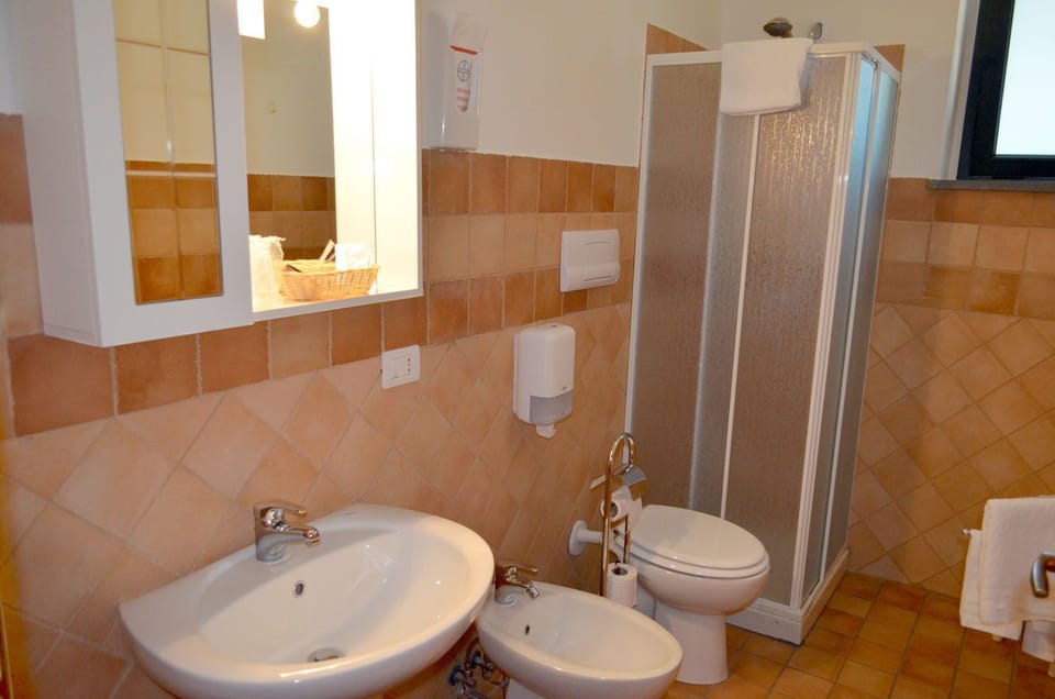 Shower, free toiletries, bidet, towels