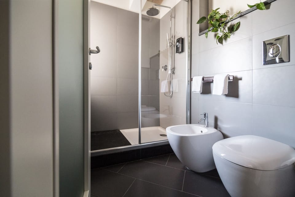 Shower, free toiletries, hair dryer, bidet
