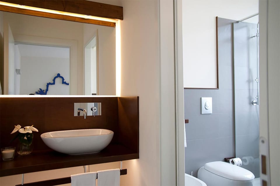Shower, free toiletries, hair dryer, bidet