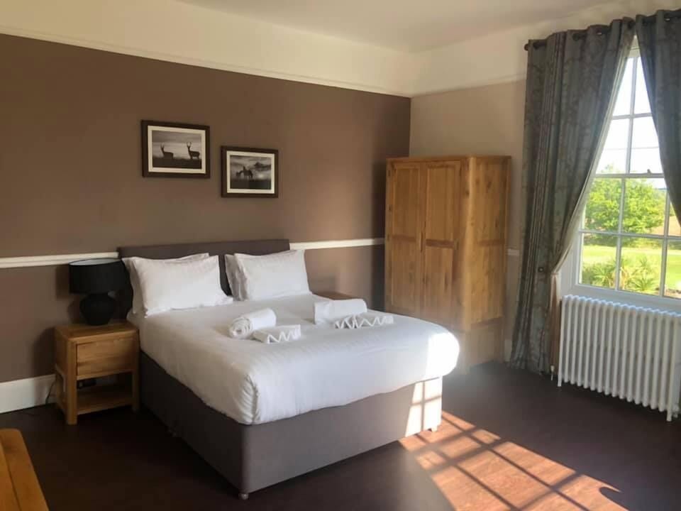 Superior Room | Free WiFi