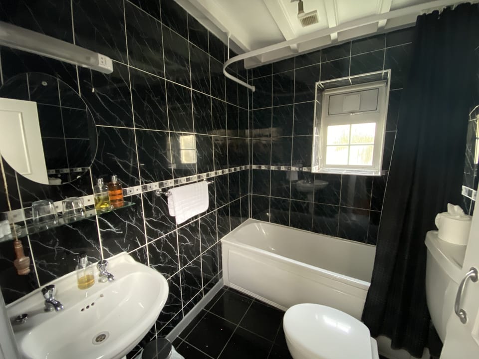 Jetted tub, eco-friendly toiletries, hair dryer, towels