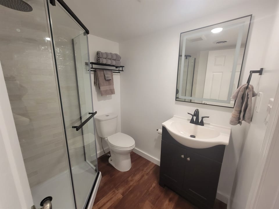 Brand New, Downstairs Bathroom with walk in shower. The room is detached from the main area and requires walking outside for access.
