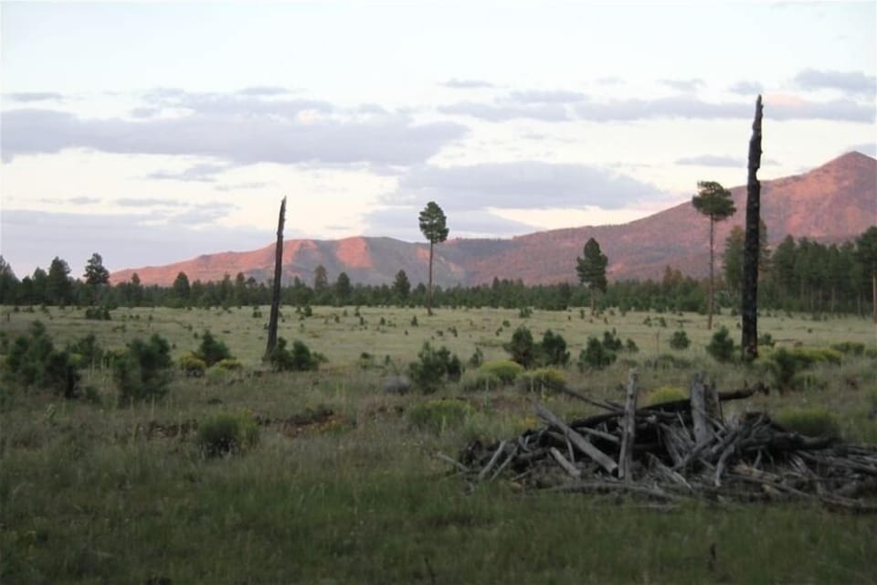 Kendrick Mt. and the backyard meadow