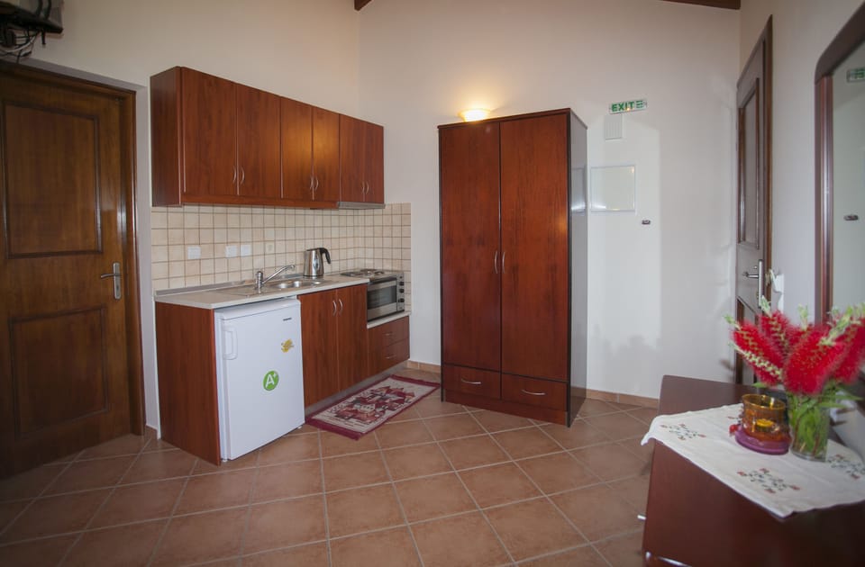 Standard Studio | Private kitchen | Fridge, stovetop, coffee/tea maker, electric kettle