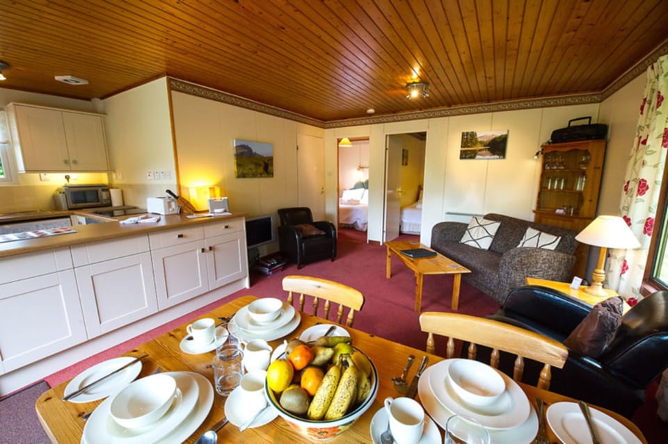 Chalet | Living area | 30-inch TV with satellite channels, DVD player