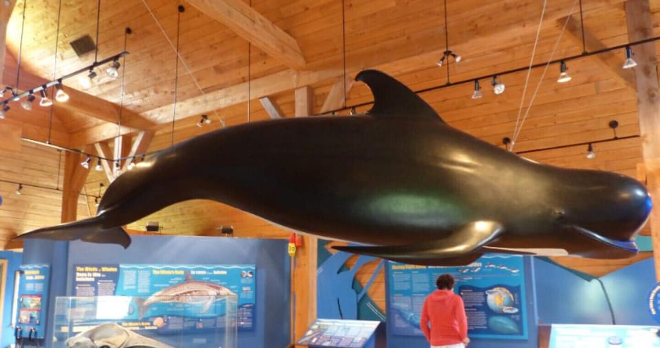 Nearby Whale Interpretive Centre