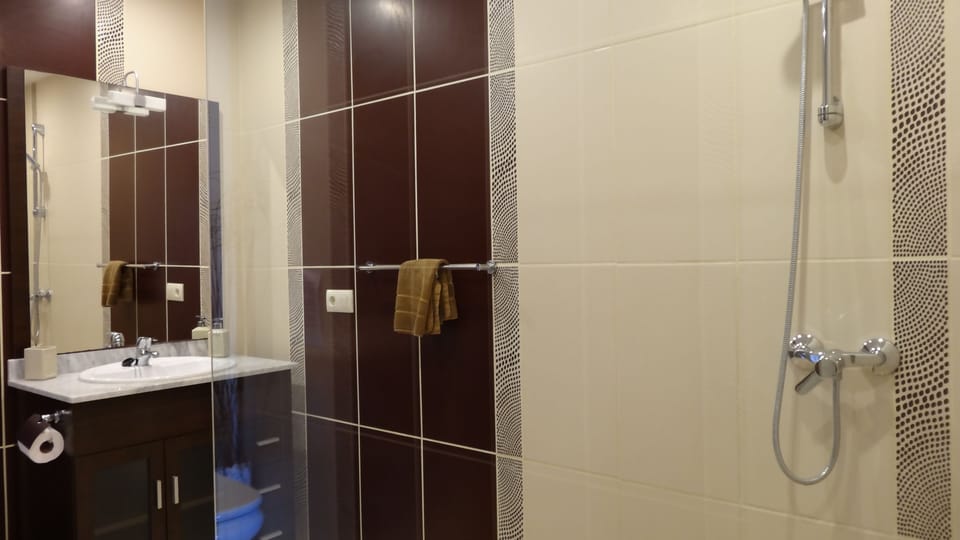 Large walk in shower, wc vanity with mirror.