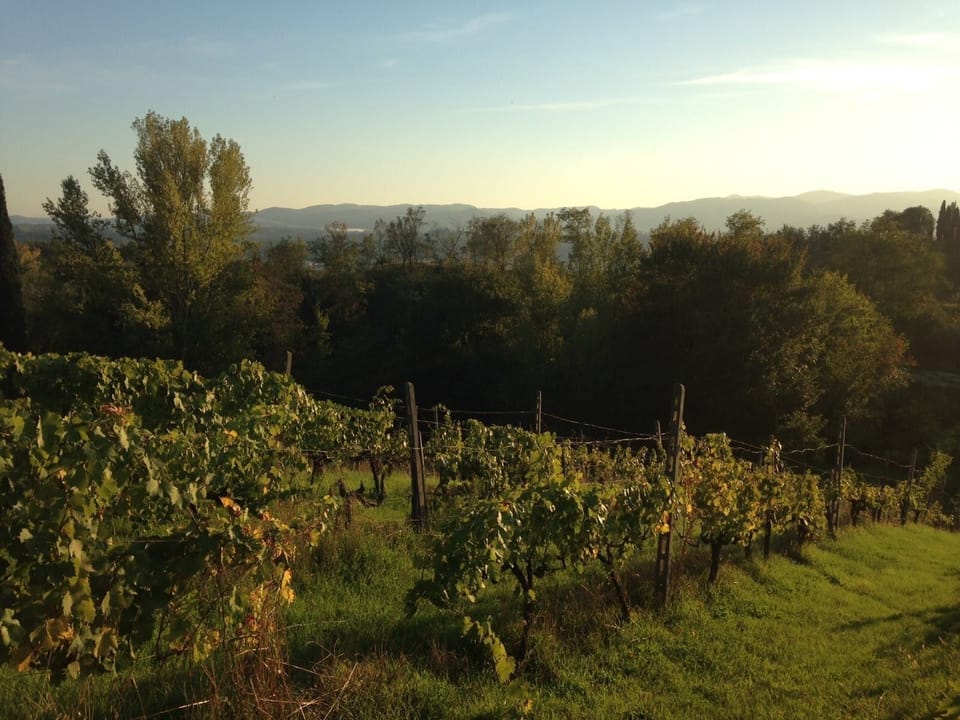 Land view from property