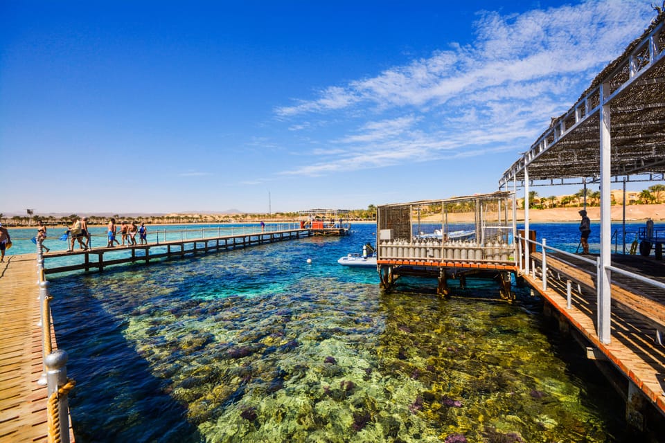 Dock
