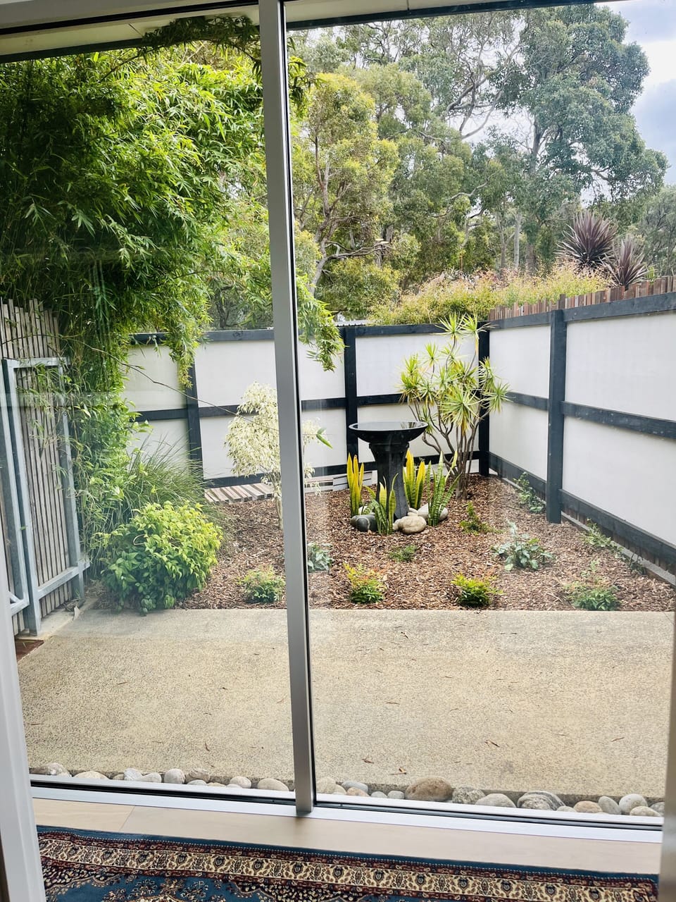 Private North facing courtyard