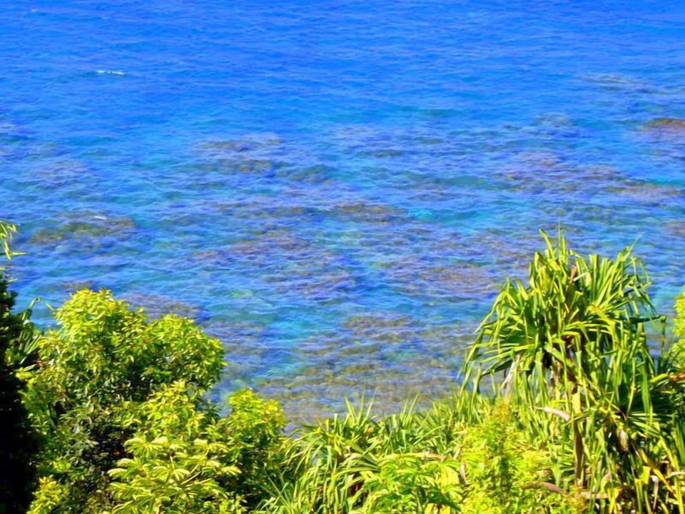Reef Below HollysKauaiCondo with Clear Blue Water