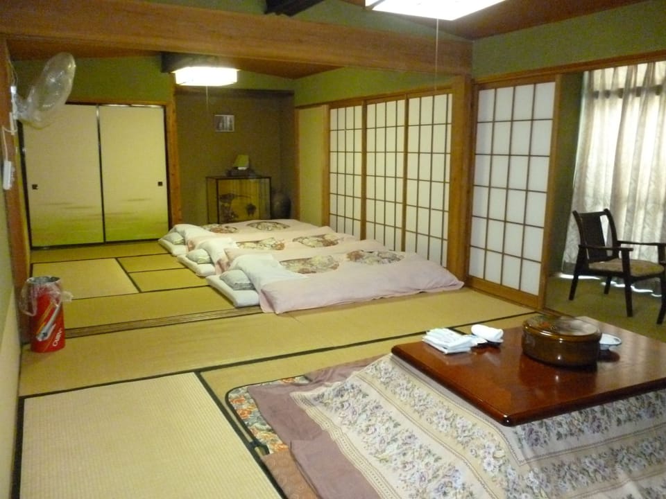 Deluxe Twin Room | Blackout drapes, iron/ironing board, free WiFi