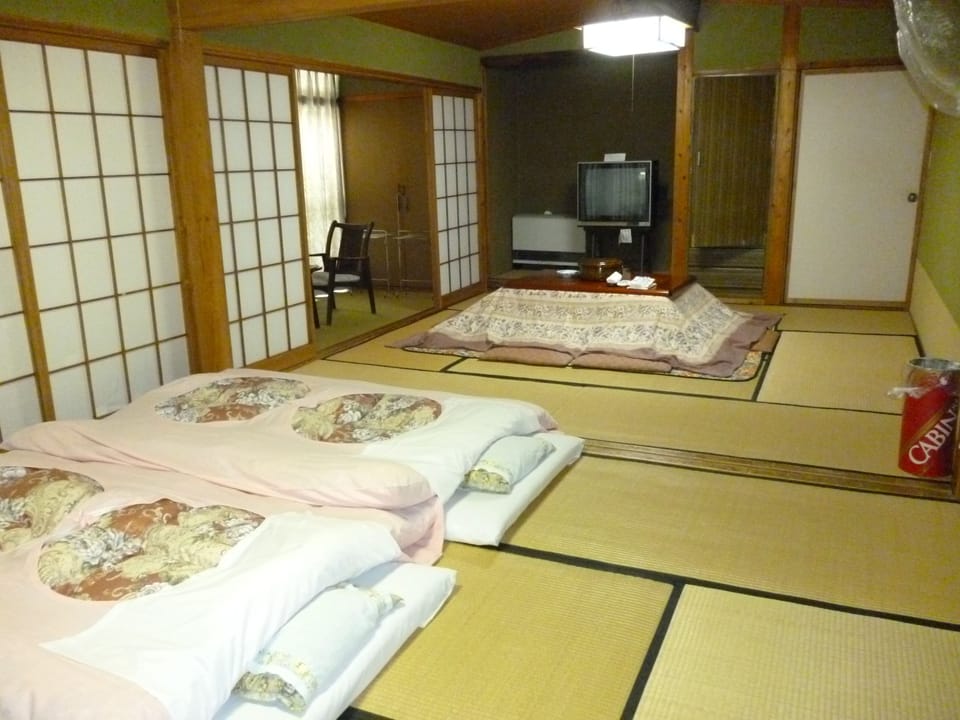 Deluxe Twin Room | Blackout drapes, iron/ironing board, free WiFi