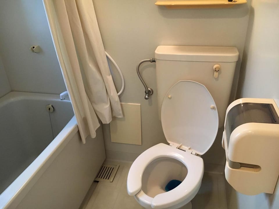 Separate tub and shower, free toiletries, hair dryer, slippers