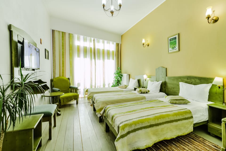 Ezio Brasov Bed and Breakfast in Brasov