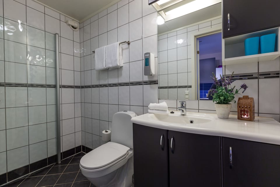 Studio (Apartment) | Bathroom | Shower, designer toiletries, hair dryer (on request), towels