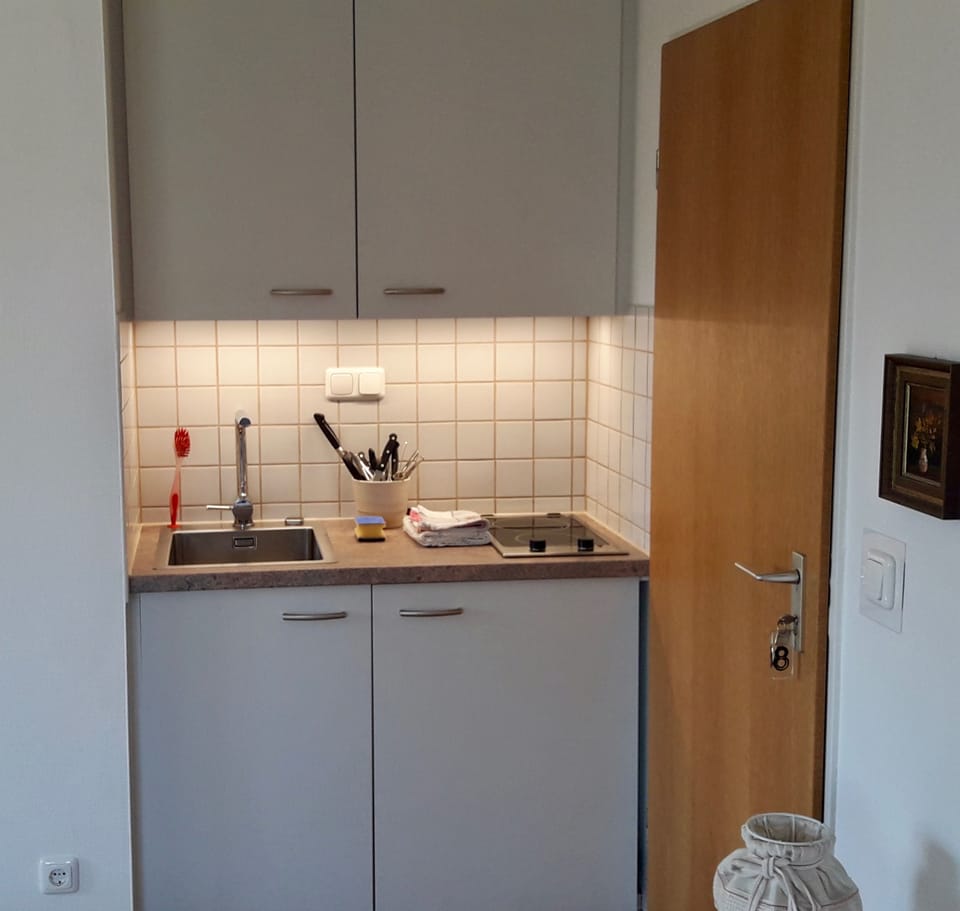 Studio, Balcony | Private kitchen | Fridge, microwave, stovetop, coffee/tea maker