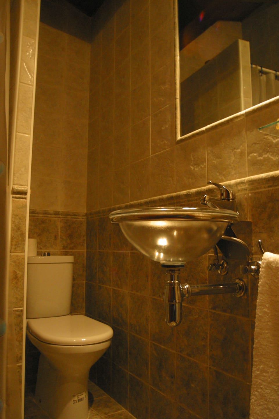 Twin Room | Bathroom | Shower, free toiletries, towels