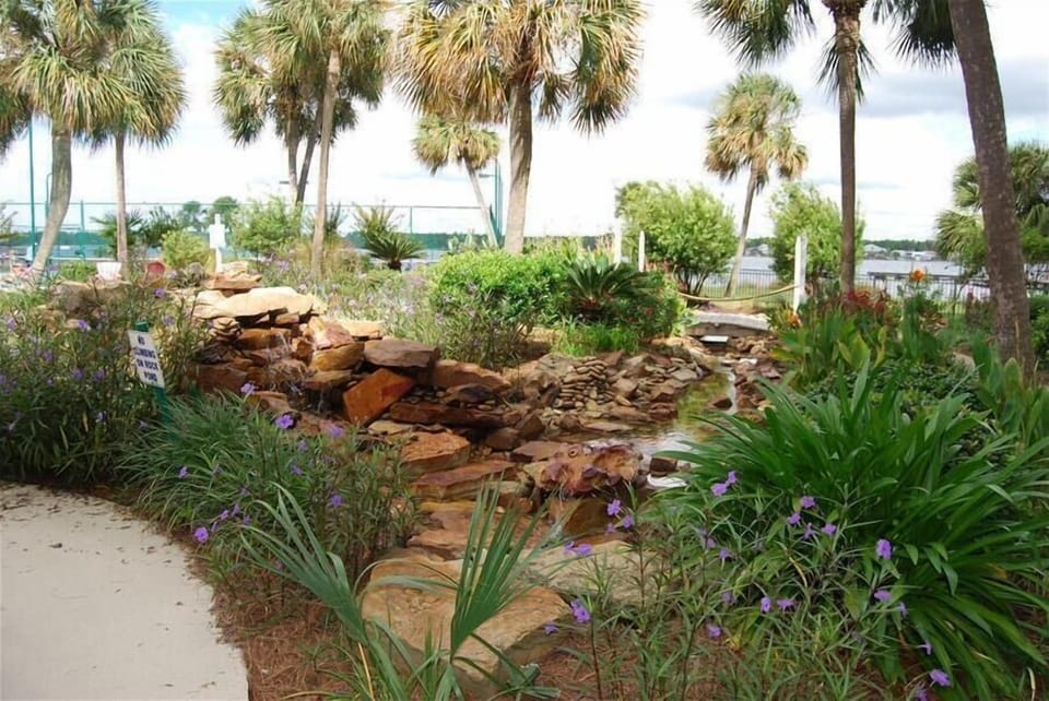 Landscape around the pool area