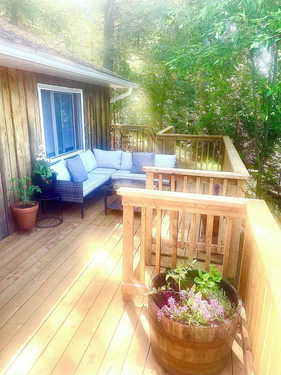 Back Deck