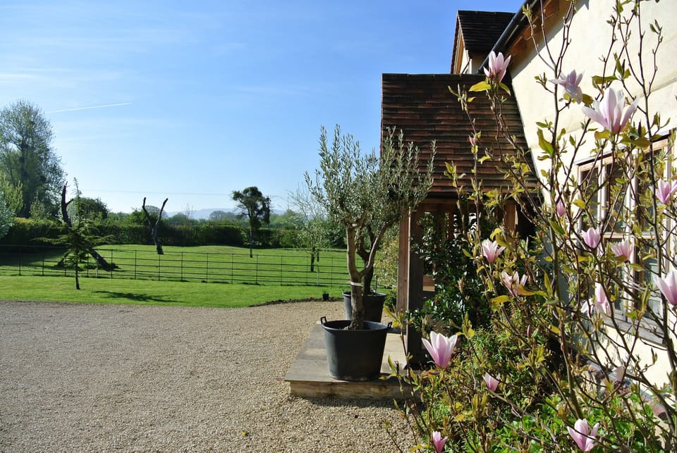 South to the Cotswold escarpment - you are welcome to explore the orchard 