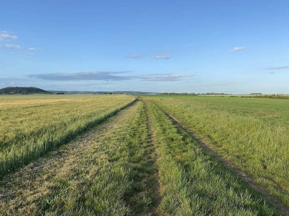 Surroundings [summer] (1-5 km)