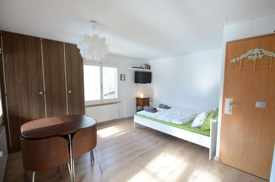 Studio layout. Compact but great space.