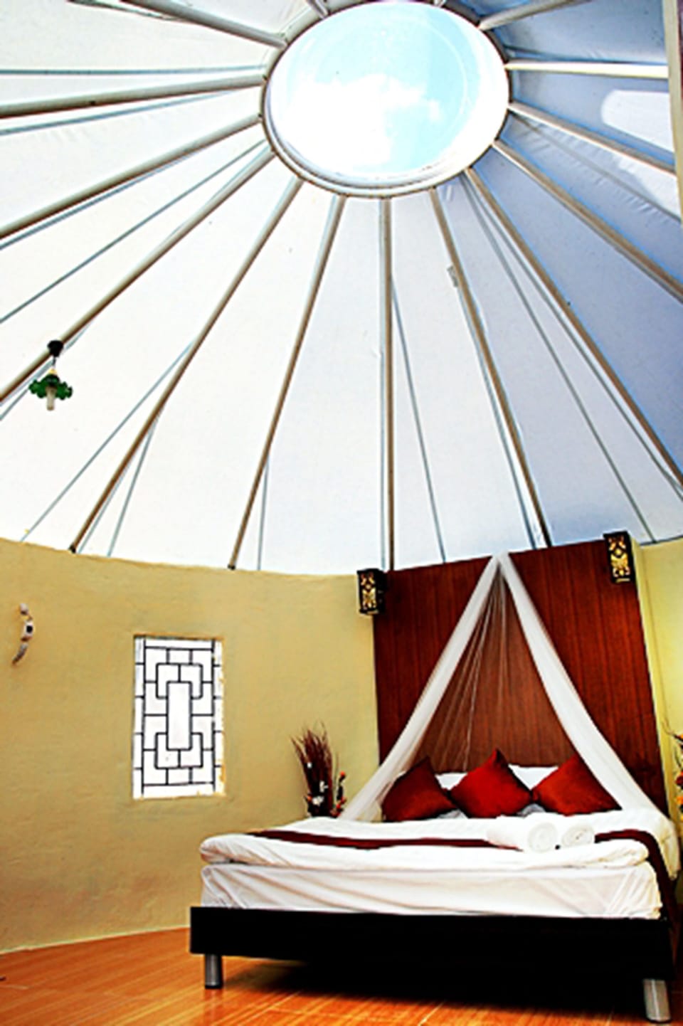 Krajom Mongolia | Free WiFi