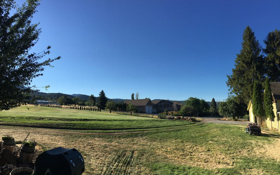 View from the front steps of the cottage