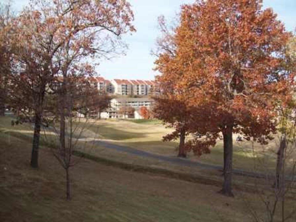 View from Deck in the Fall