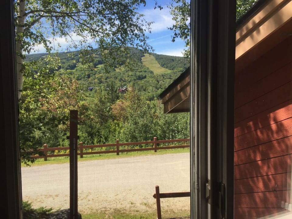 Parking spot at front door, looking at Mount Snow
