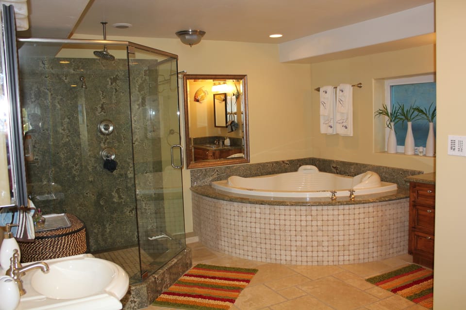Master Bath with shower and jacuzzi