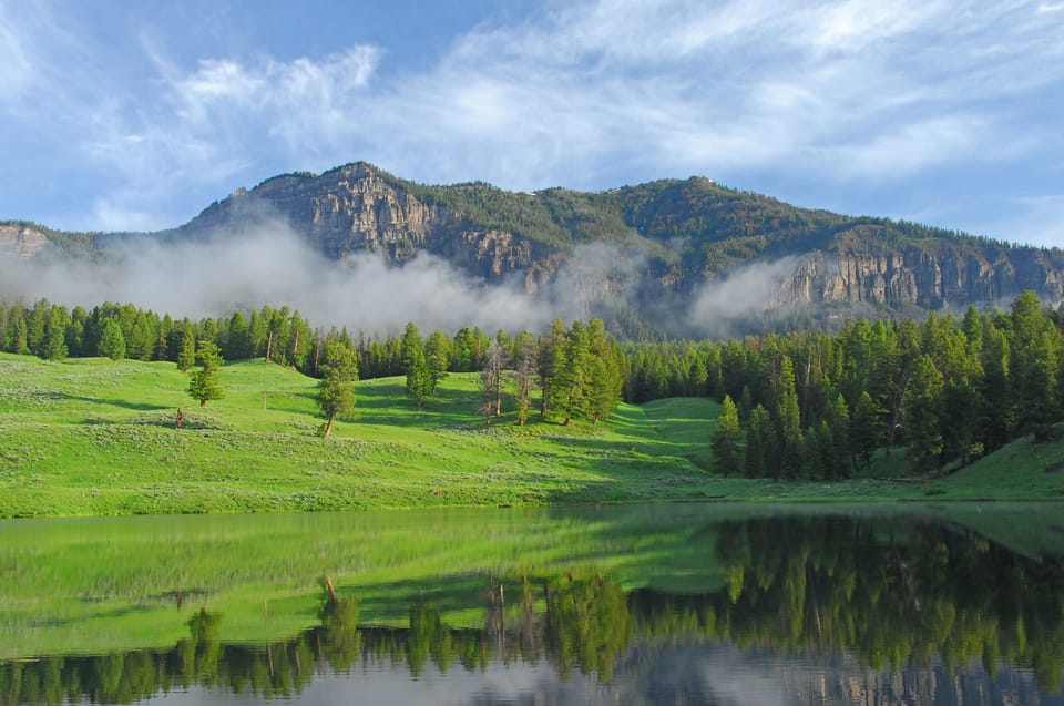 Summer at Yellowstone's Trout Lake. 
