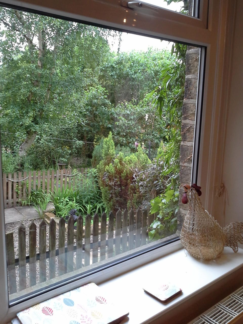 View from kitchen window