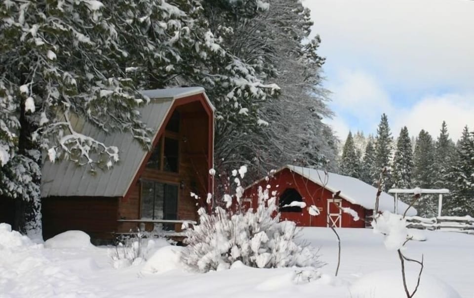 Mt. Shasta Ski & Board park is 20 minutes away!