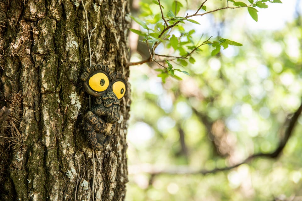“Three faces have recently appeared on trees in the Fairy Forest.” Can you find all three?