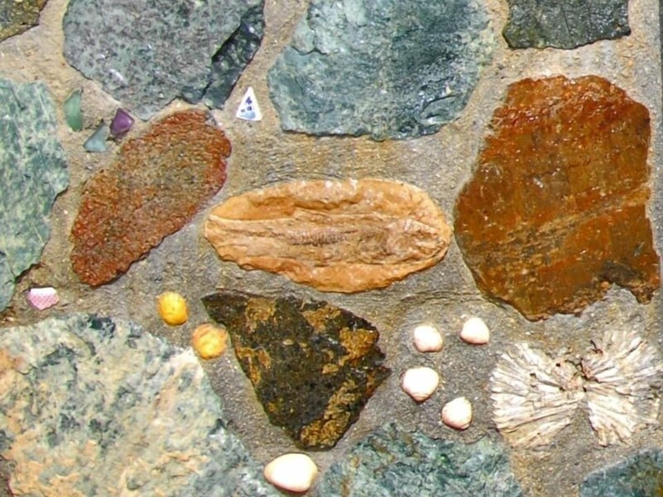 We have a fossilized fish in the outdoor shower (and on the front deck)!