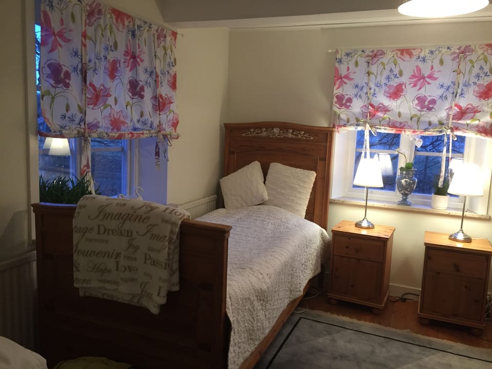 Basic Double Room | Iron/ironing board, rollaway beds, free WiFi, bed sheets