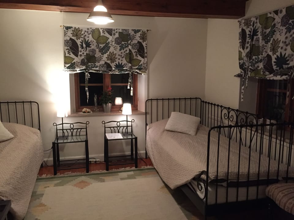 Basic Double Room | Iron/ironing board, rollaway beds, free WiFi, bed sheets