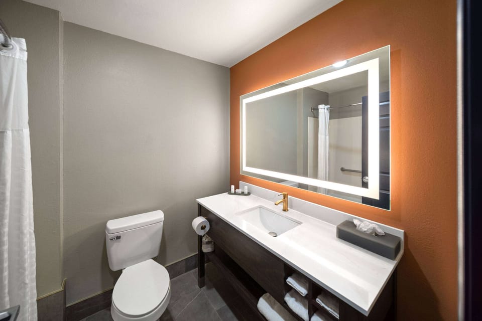 Combined shower/tub, free toiletries, hair dryer, towels