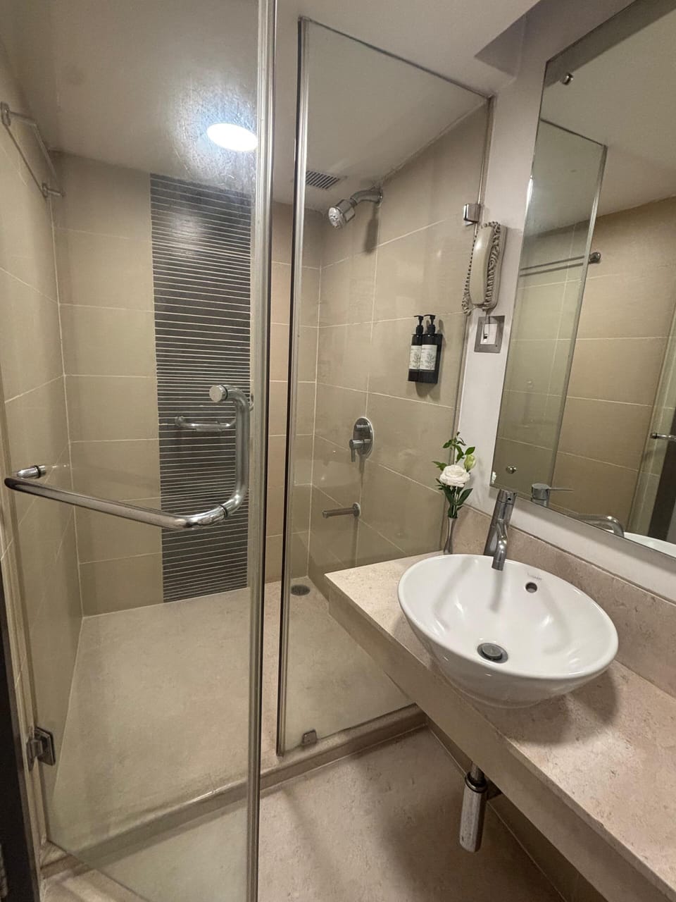 Blue Ribbon Single | Bathroom | Free toiletries, hair dryer, slippers, bidet