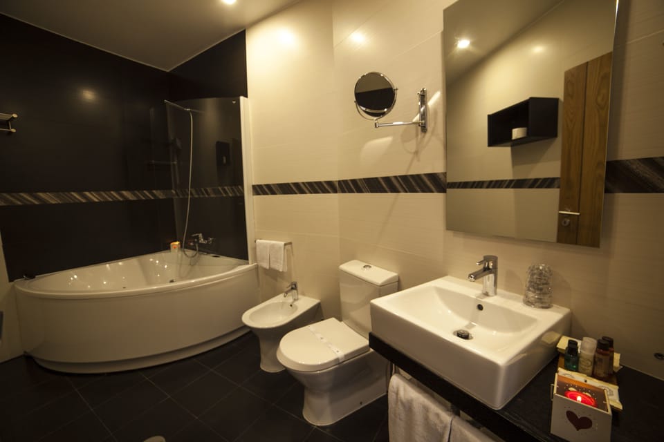 Panoramic Suite, River View | Bathroom | Shower, free toiletries, hair dryer, towels