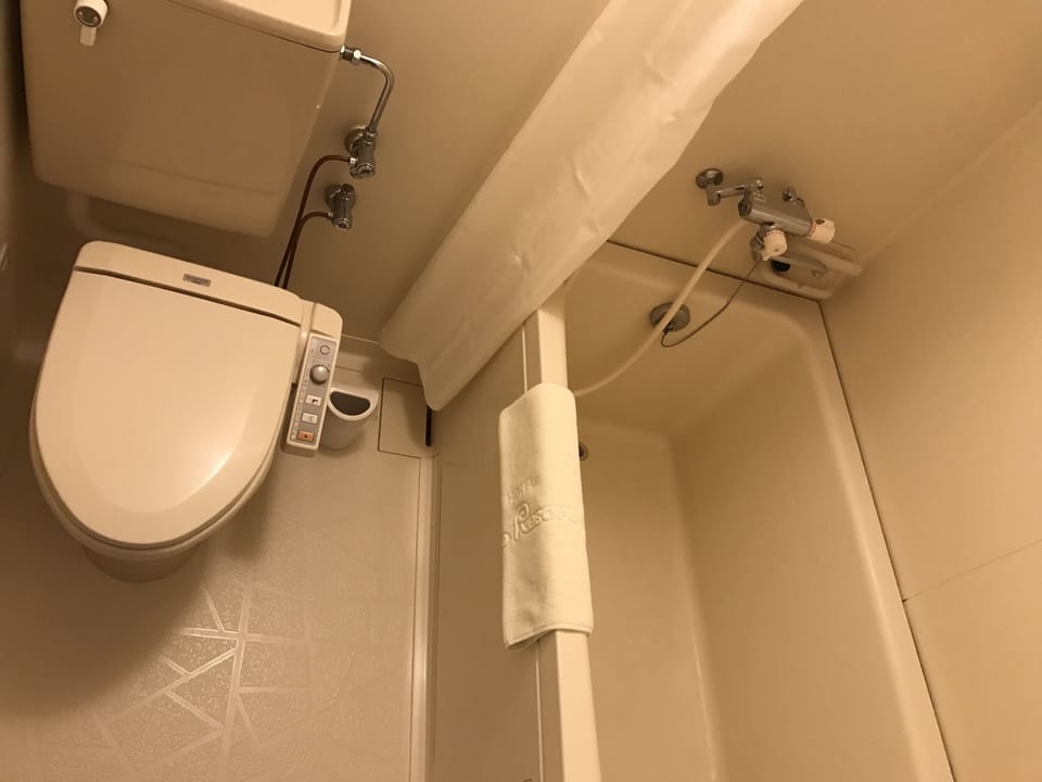 Combined shower/tub, free toiletries, hair dryer, slippers