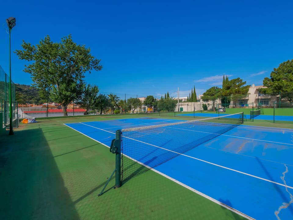 Sport court