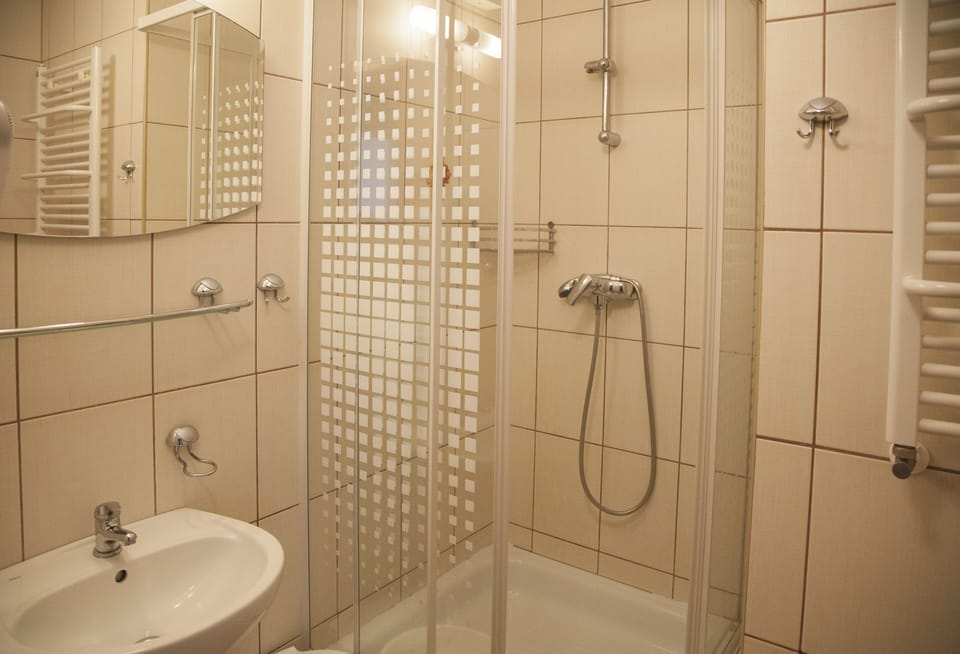 Twin Room | Bathroom | Shower, free toiletries, towels