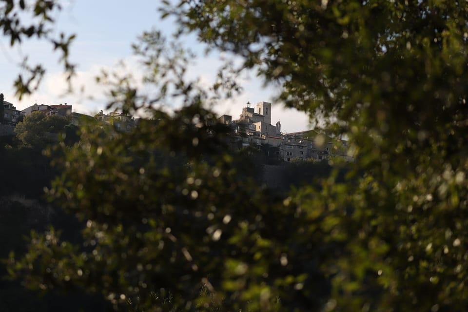 Family Tree House, 2 Bedrooms, Non Smoking, Valley View (Colonel Hathi) | View from room
